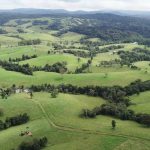 Paradigm crossbred Wagyu claims Brisbane Show branded beef crown