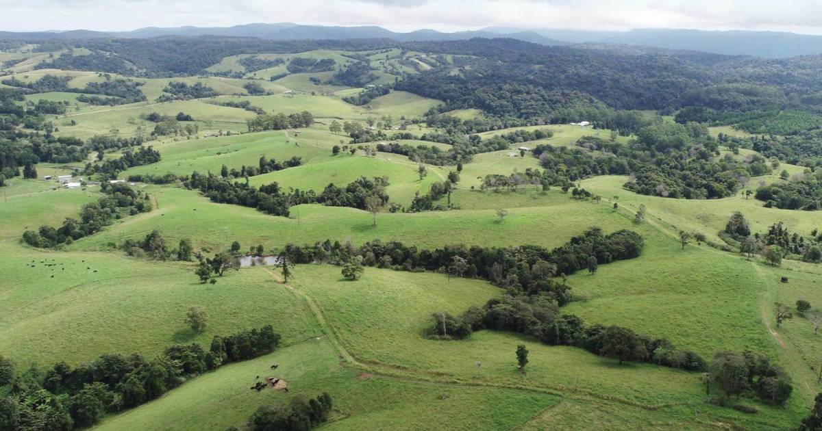 Impressive cattle breeding, fattening property in the highlands | Video