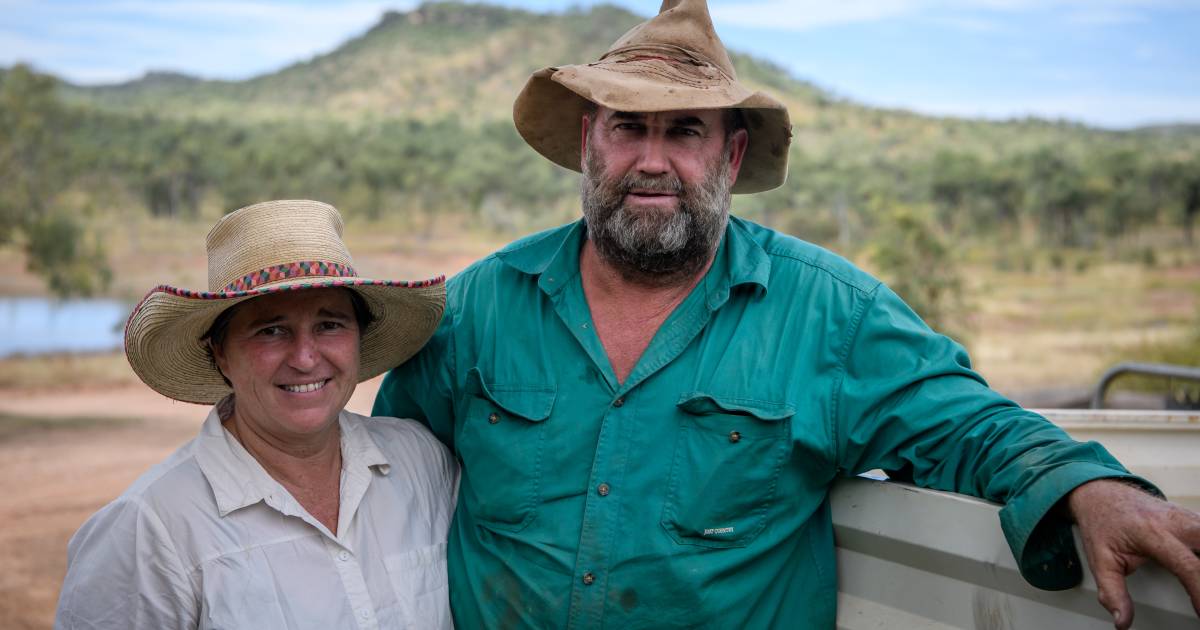 Gilberton offers a luxurious cattle station experience for tourists