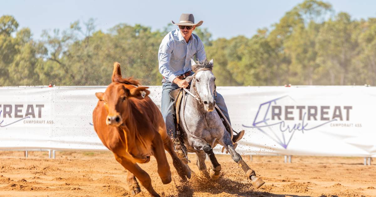 Retreat Creek Campdraft a success with new shed and facilities | Queensland Country Life