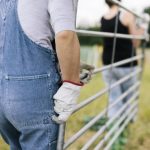 Don't be fooled, winter grazing crops can be sown earlier than you think