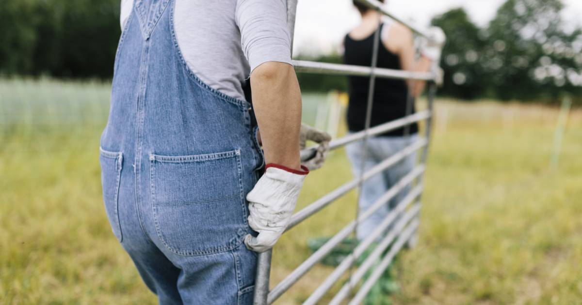 Farmers wary of talk about 'double-up' on biosecurity levies