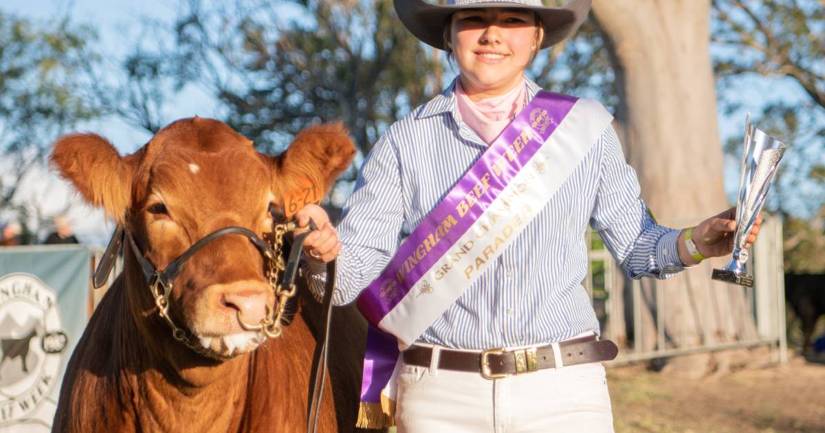 Wingham Beef Week | The Land