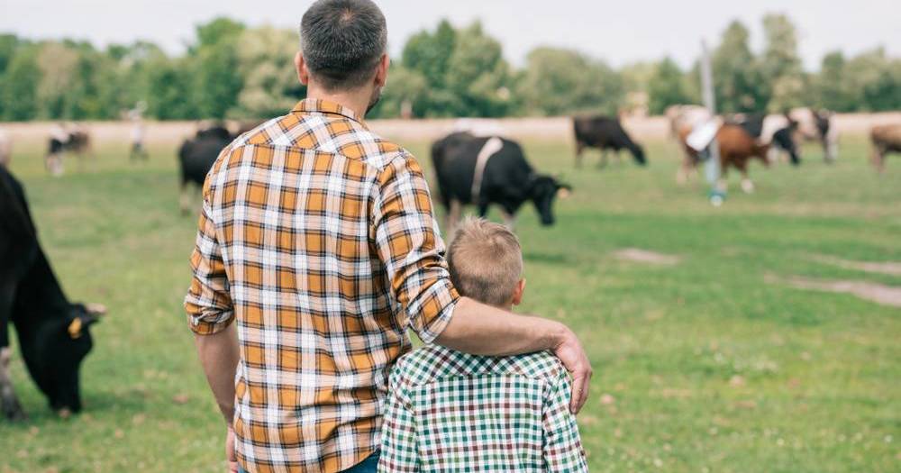 NSW Farmers is disappointed key opportunities have been missed | The Land