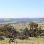 Hundreds of locals not fans of planned Ruby Hills wind farm