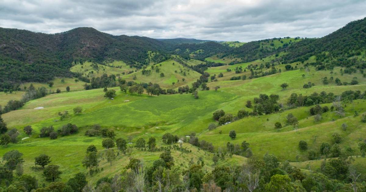 Sheltered valley home to picturesque cattle property | Video