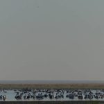 Longreach tourists get a bird's eye view