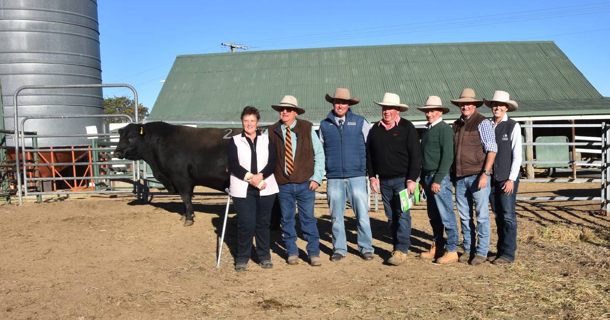 Dulverton Angus to $50,000 at Last Hoorah sale.