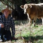 Nutrien Livestock’s cattle sale at Boyanup and ‘Do It For Dolly Day’ | Farm Weekly