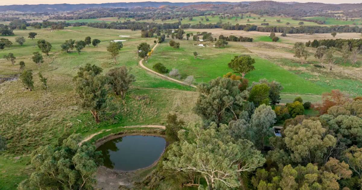 Quality grazing, breeding country off to auction