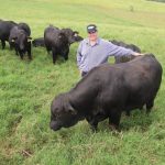 Taroom show makes mark as regional Queensland’s largest cattle show | Queensland Country Life