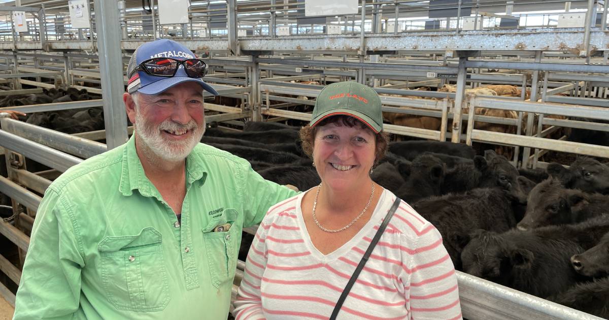 Weaner steers average $966 a head | The Land