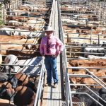 Blackall residents taken by surprise as skyscrapers fill horizon | Queensland Country Life