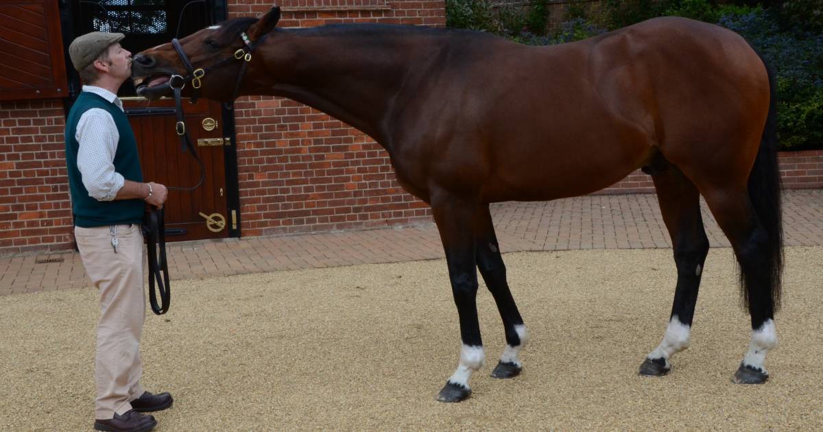 Frankel makes his mark around the globe