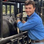 Tennysonvale sells bulls and females to five states