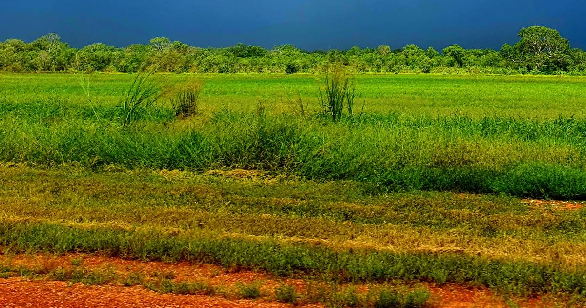 Fed budget to set up 'defining decade' for rural Australia