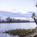 Mudgee man arrested for theft at rural property