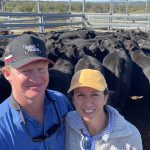 Weaner steers average $966 a head | The Land