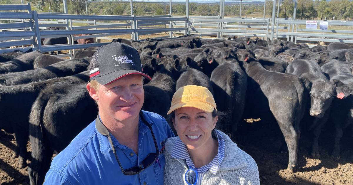 Weaner steers top at $1797/head | The Land