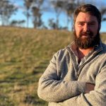 Feeder and weaner steers in demand at Gracemere