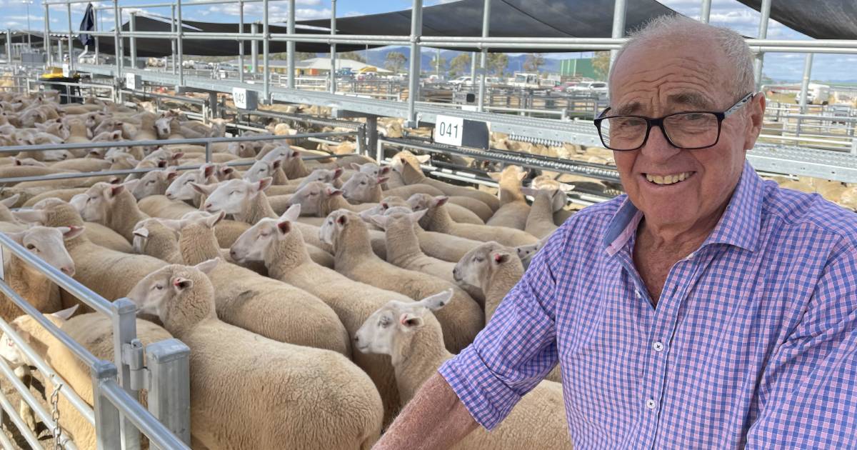 Picky buyers lift NSW lamb market