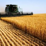 Visitors enjoy the sunshine at the Riverina Field Days