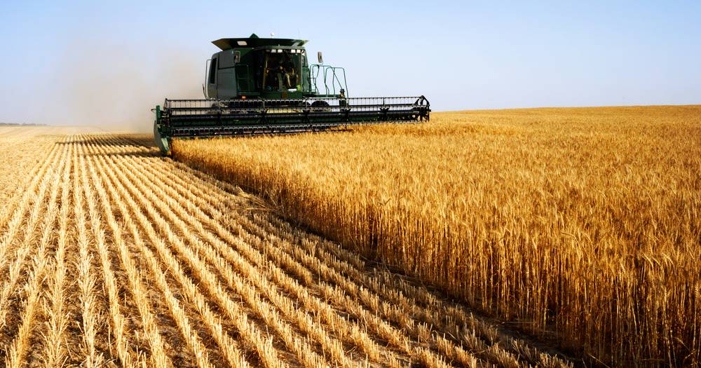 Australia exported a record large 3.8 million tonnes of wheat in March | Queensland Country Life