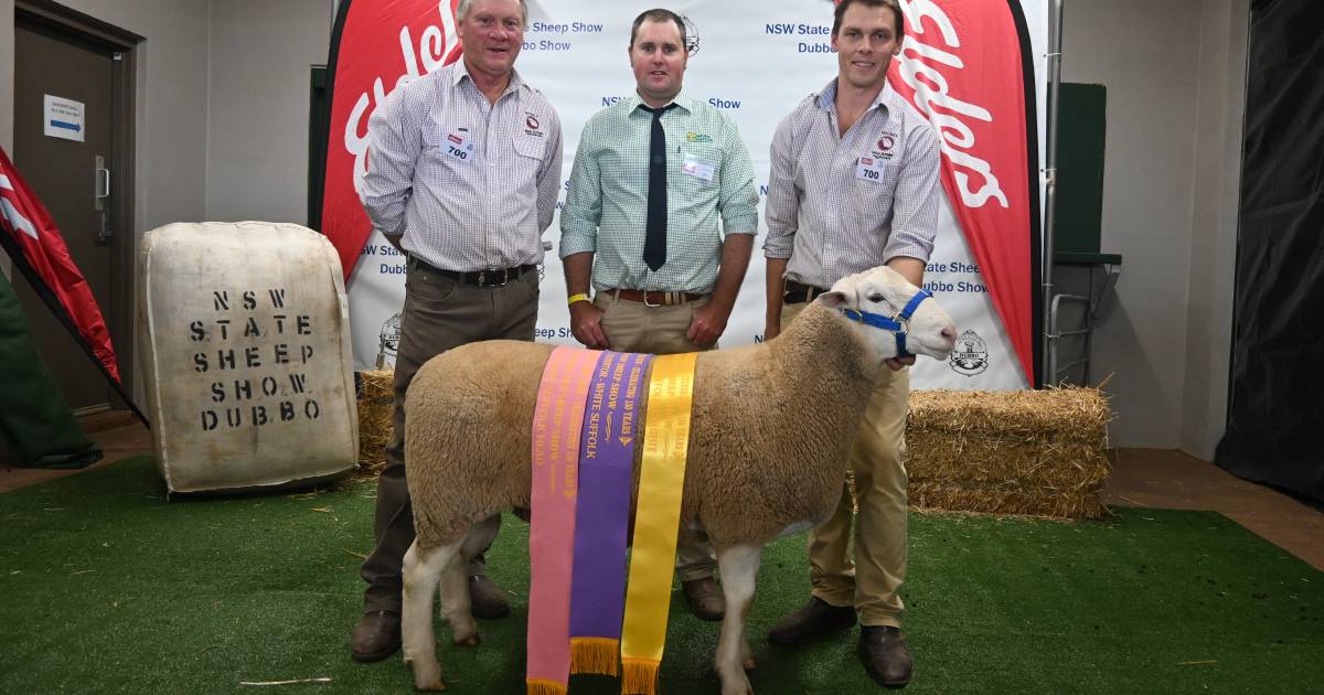 Rocdell reign supreme at NSW Sheep Show