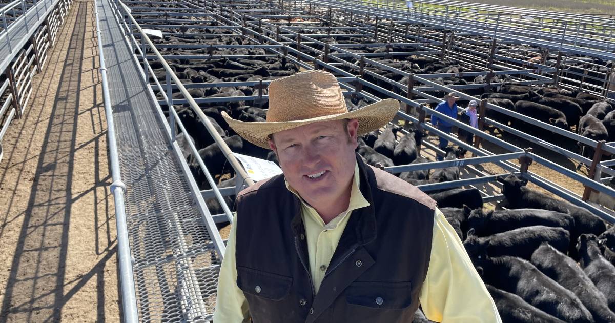 Quality dictates heifer market moving forward