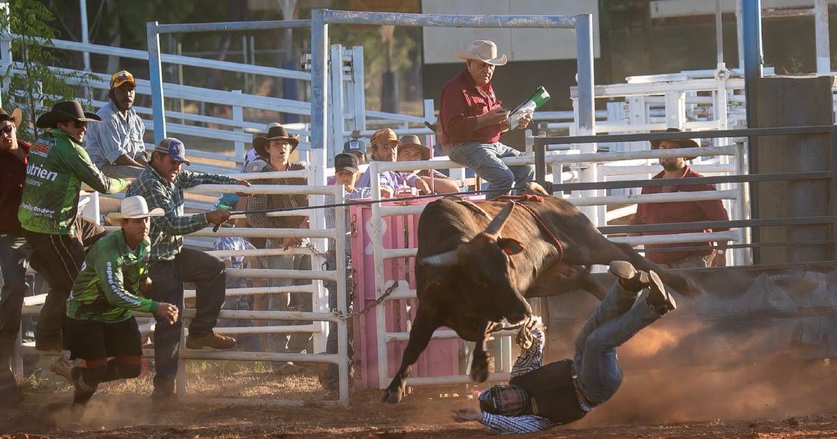 'Future is looking good' as large number of riders compete at rodeo