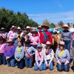 Share yours: Community cropping underway