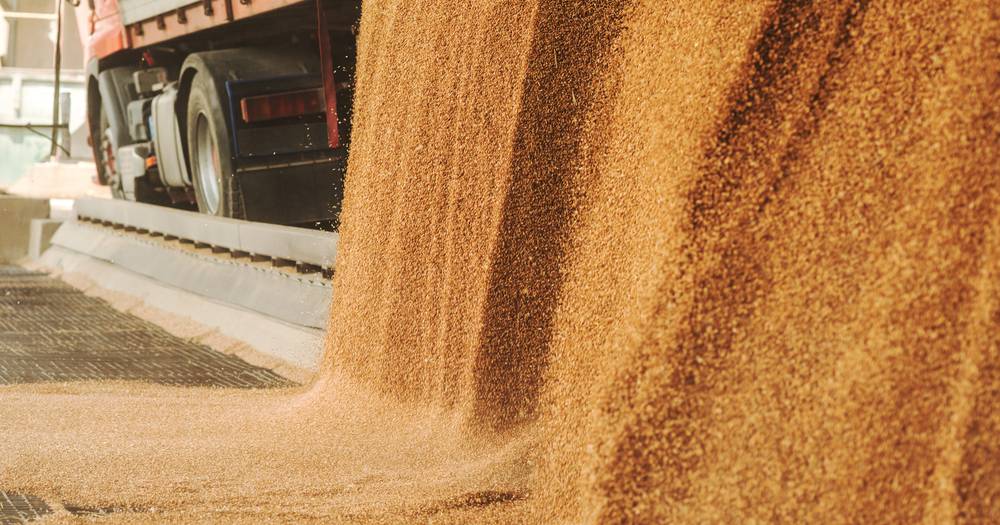 GrainCorp shares show signs of a recovery