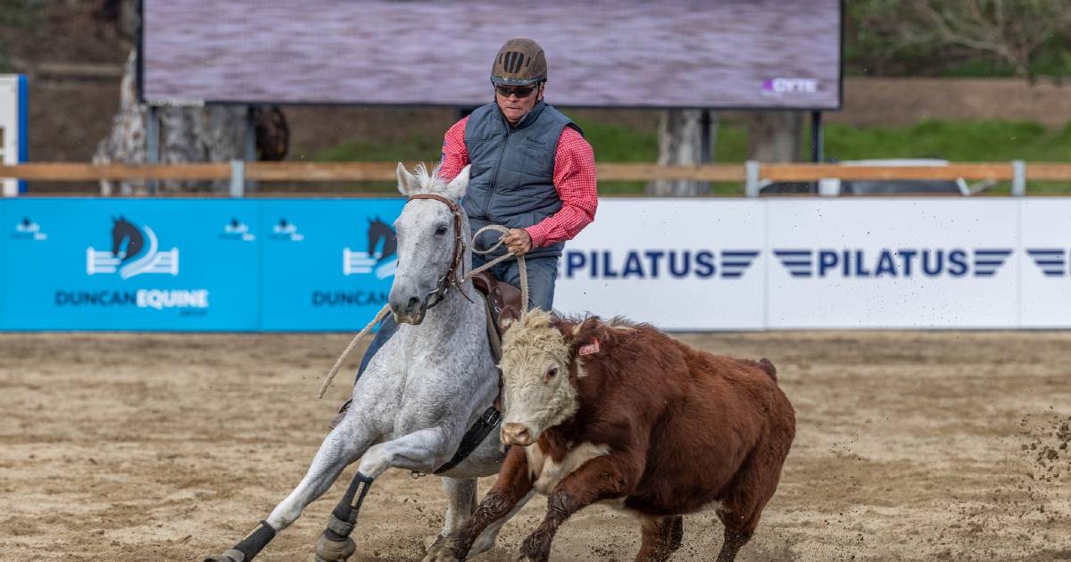 2023 Willinga Park Gold Buckle Campdraft won by Pete Comiskey | The Land