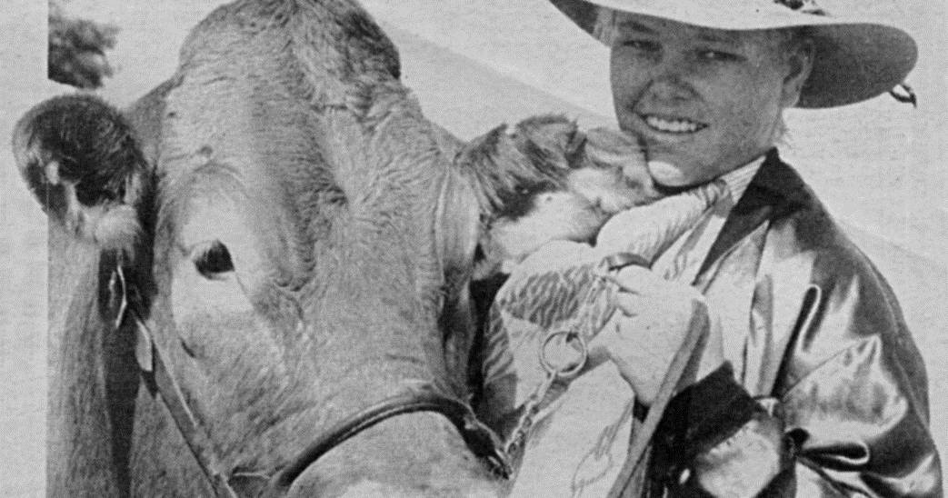 Beef 1991 interbreed taken out by Brahman and Gelbvieh breeds | Queensland Country Life