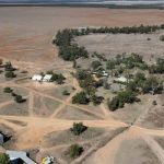 Burnett Brahman breeders clean up Monto show carcase competition | Queensland Country Life