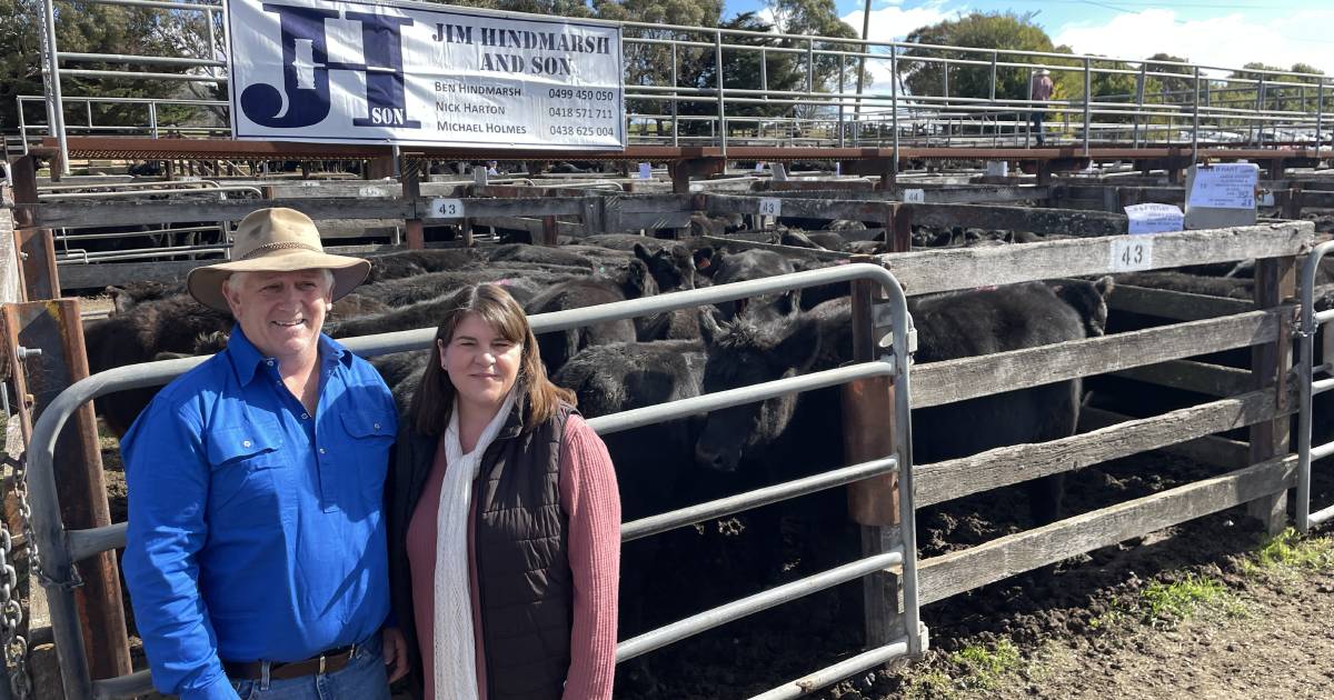 Angus steers reach $1550 a head at annual Braidwood weaner sale | The Land