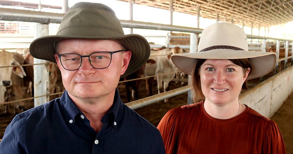 A government vet is being sent to Indonesia to help stop the spread of livestock diseases | The North West Star