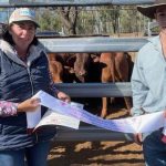 Solid demand for weaners at Monto