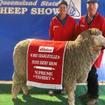 Speriby North Angus average $17,036.