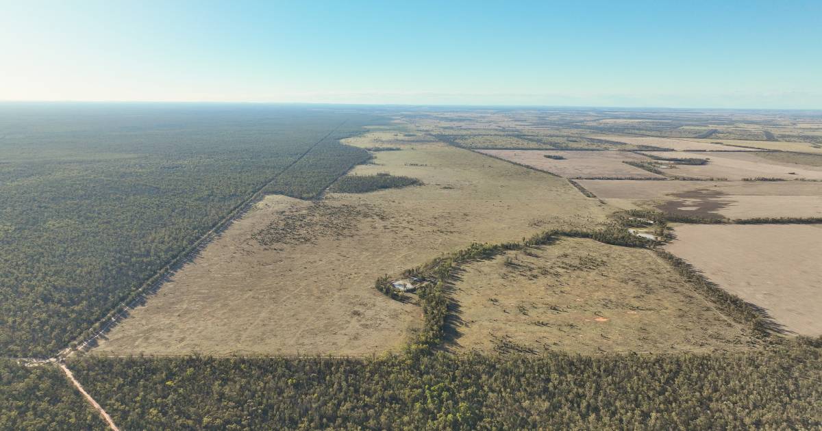 Western Downs country tops $4 million | Video