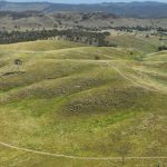 Positive signs for WA sheep and wool