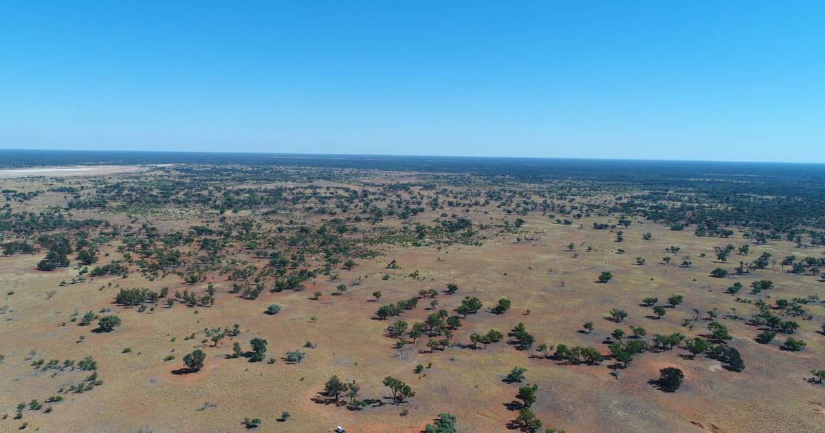 Grazing country with major carbon project in place