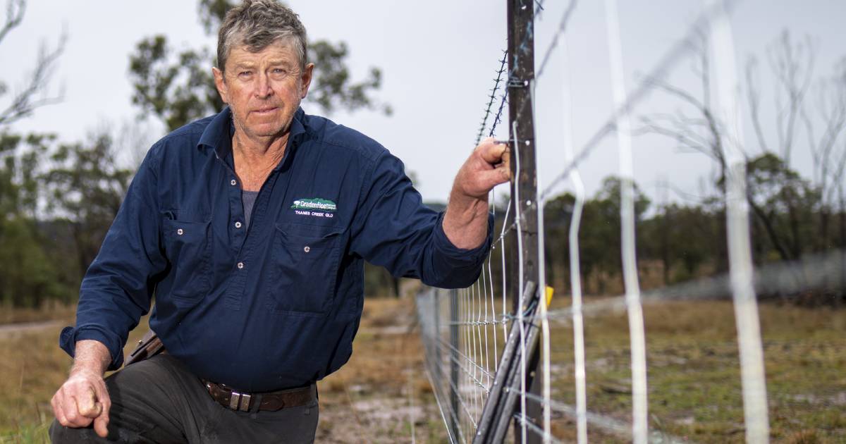 'You can sleep at night': graziers electrify dog fight