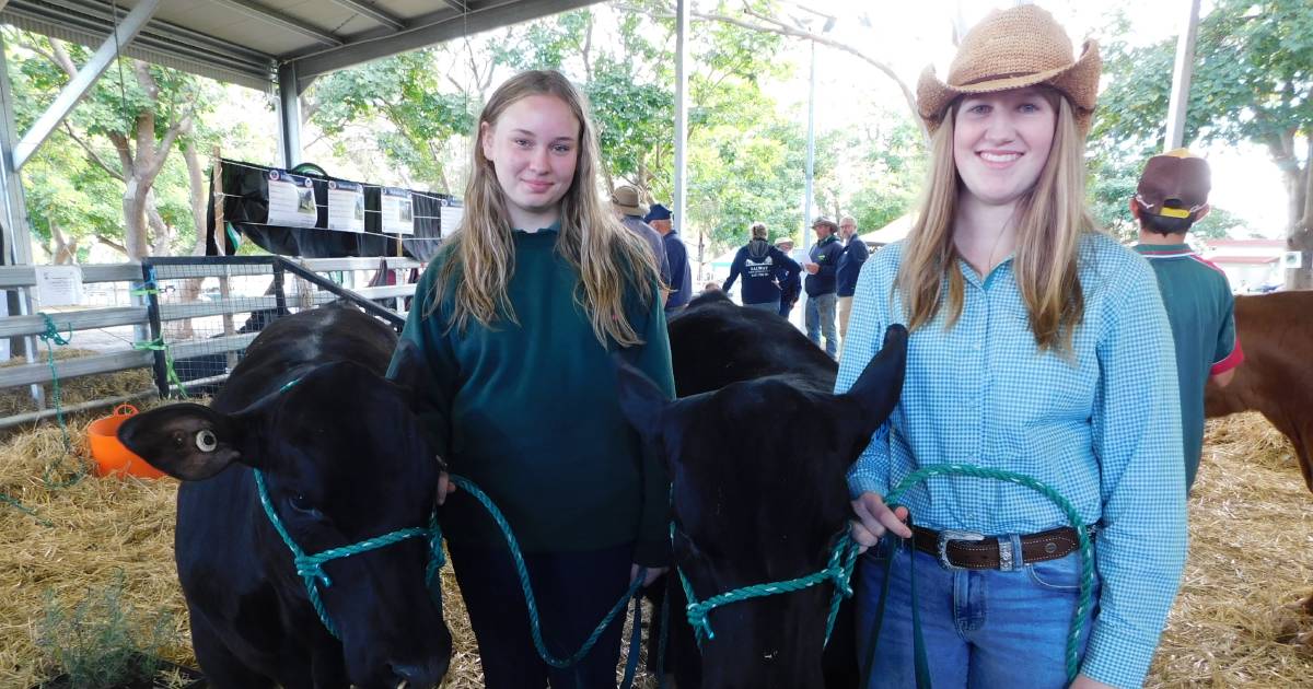 Out and about at the South Coast Beef School Steer Spectacular