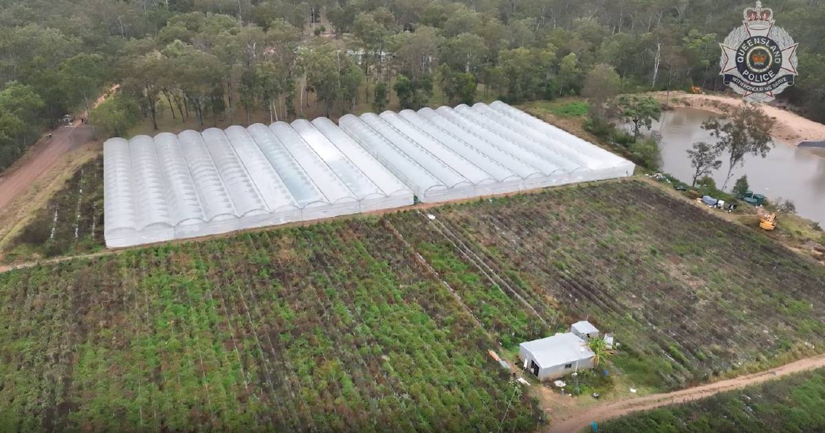 National drug ring purchasing rural Queensland farms to produce cannabis