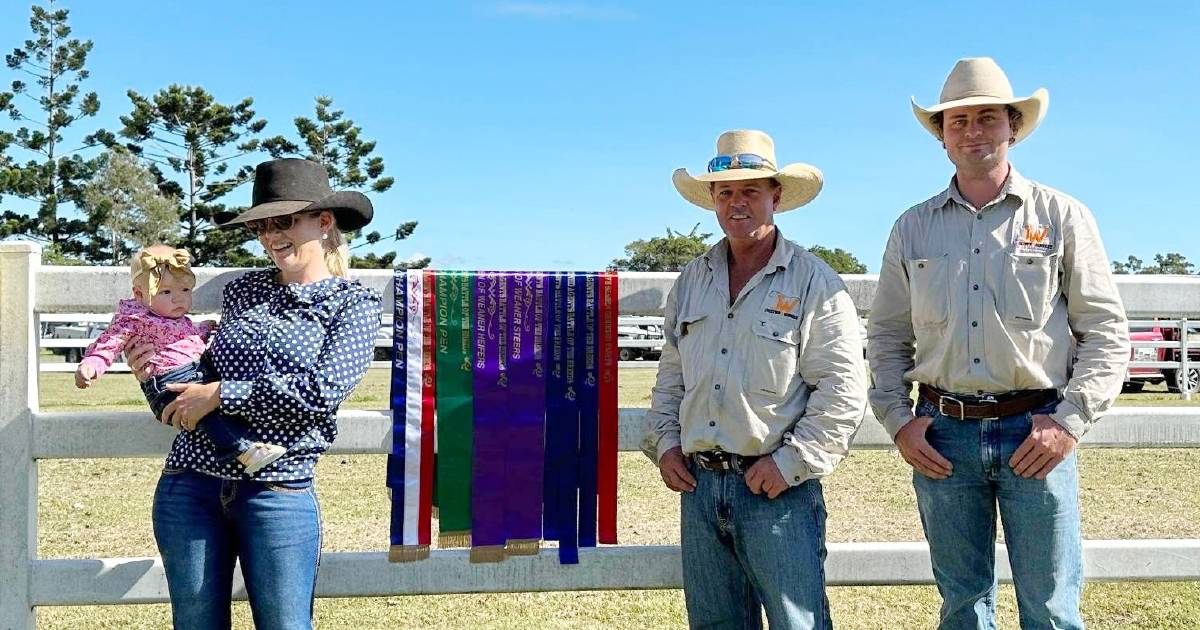 Brangus crowned champions at inaugural Battle of the Breeds feature sale