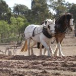 Producers gather at Taroom Rabobank event