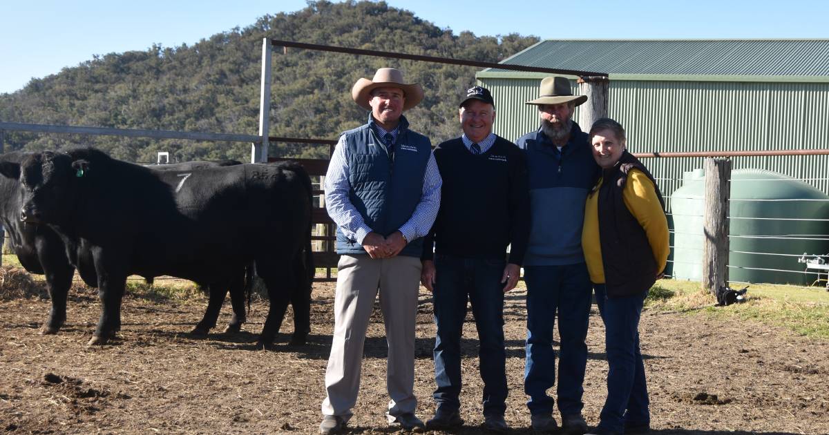 Speriby North Angus average $17,036.