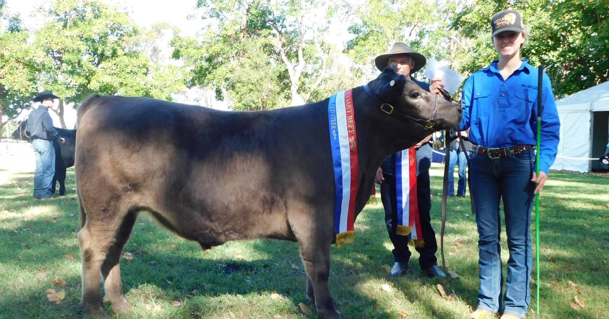 Narooma, Oak Flats top School Steer Spectacular