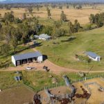 White Dorper tops 2023 St George multi-breed ram sale